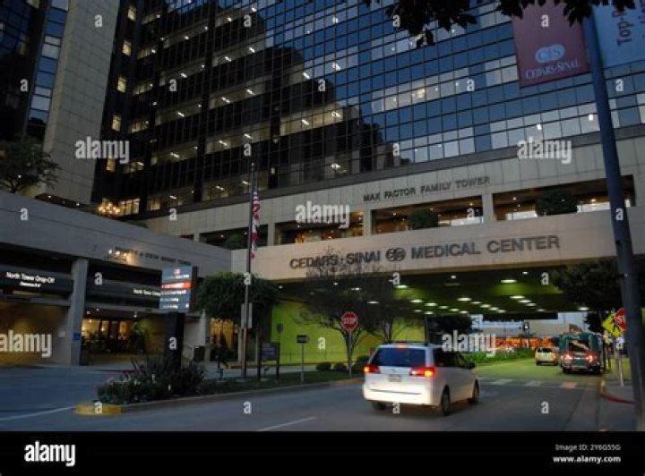 145 Cedars Sinai Stock Photos Free & RoyaltyFree Stock Photos from