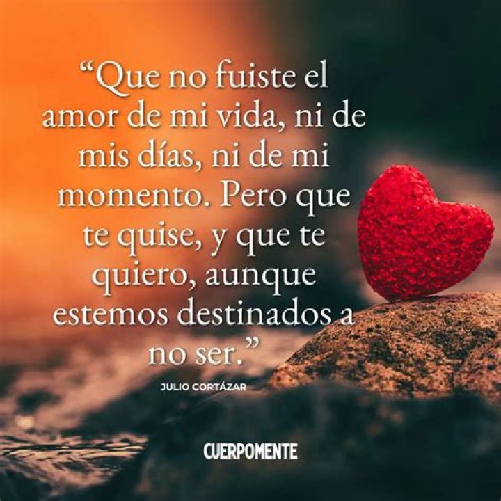 30 años de amor Así es Miranda Rijnsburger la esposa de Julio Iglesias