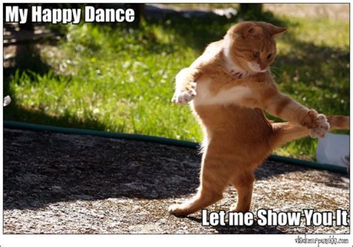 40 Happy Dance Memes to Put a Smile on Your Face