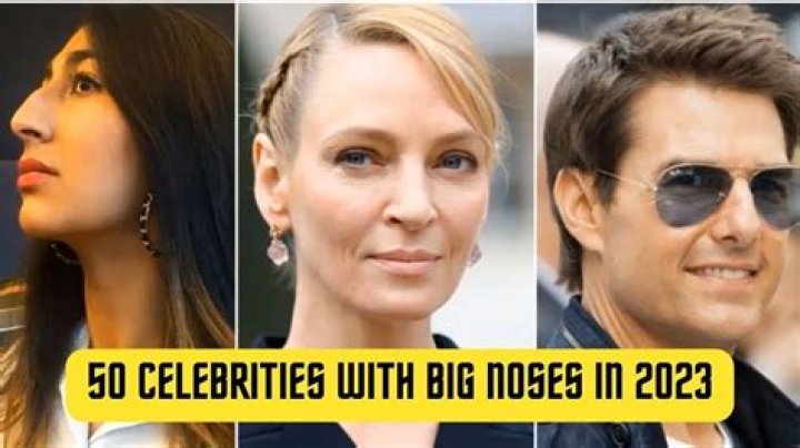 50 Celebrities With Big Noses Actresses, Actors or Singers Hood MWR