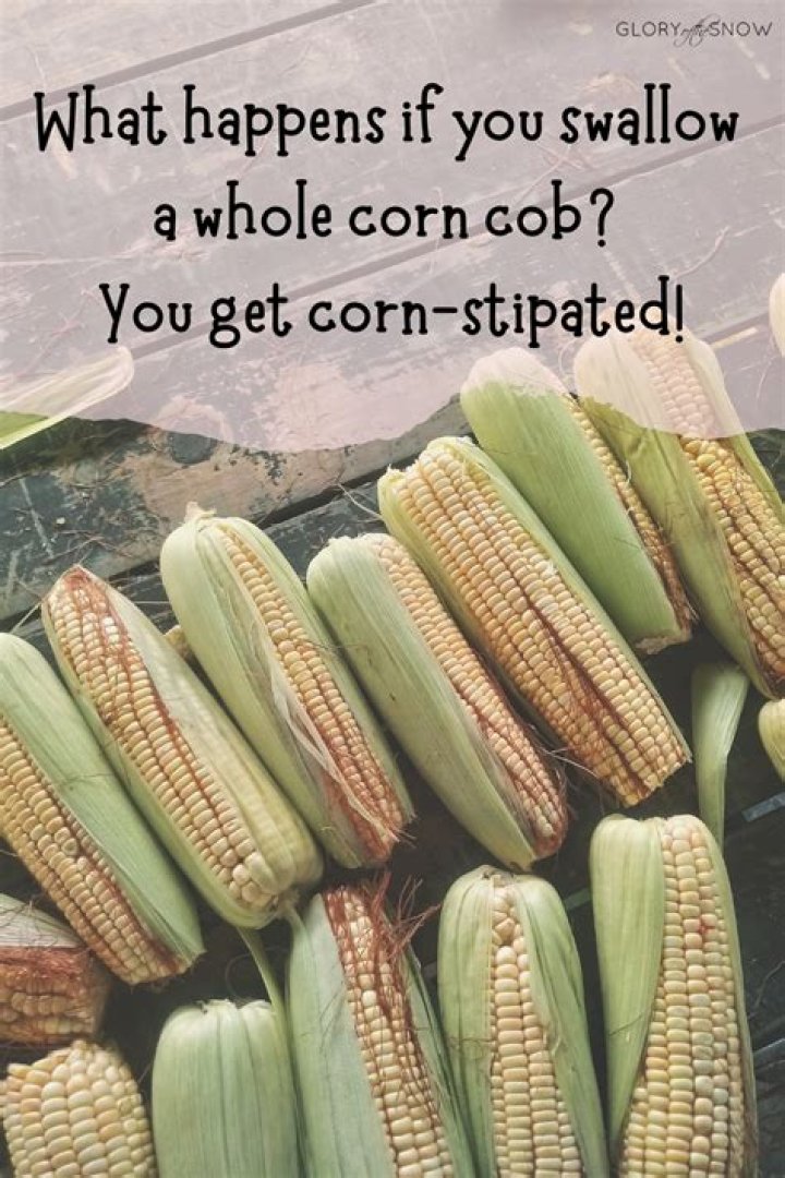 60+ TooCornyToDigest Corn Puns And Jokes Glory of the Snow