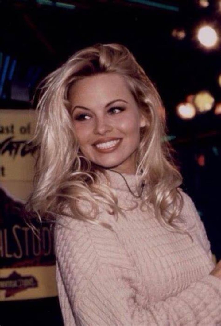 90s Pamela Anderson. Lost In History