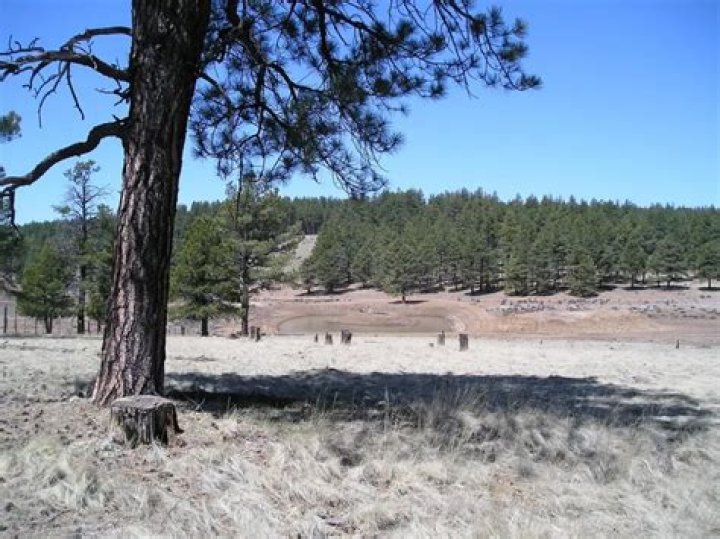 9200 W Coyote Pass, Flagstaff, AZ 86001