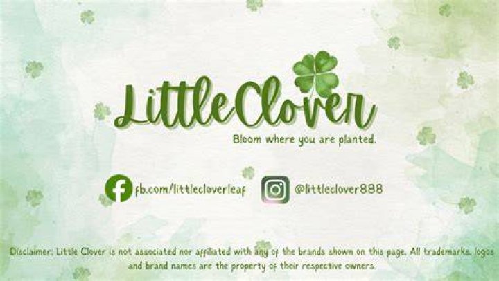 ☘️ Who is Little Clover Whispers? ☘️ YouTube