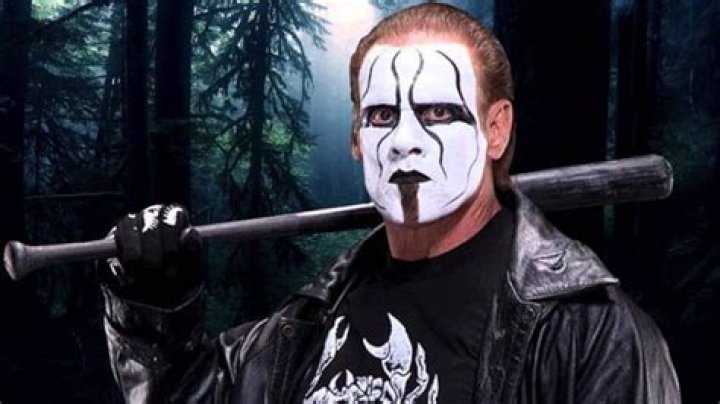 About Steve Borden (aka Sting on WWE) Age, Net Worth, Wife