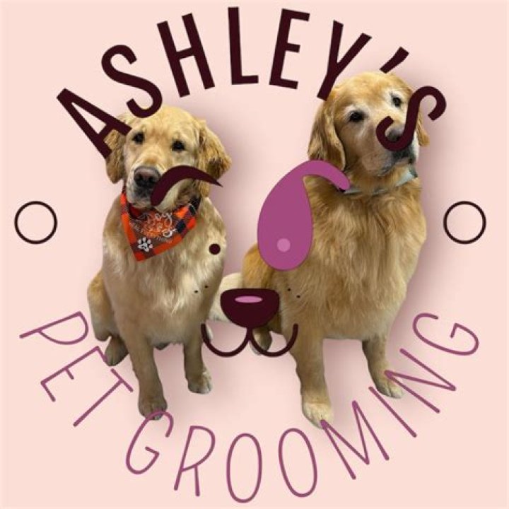 Ashley Rosen Grooming Chattanooga, TN Thumbtack