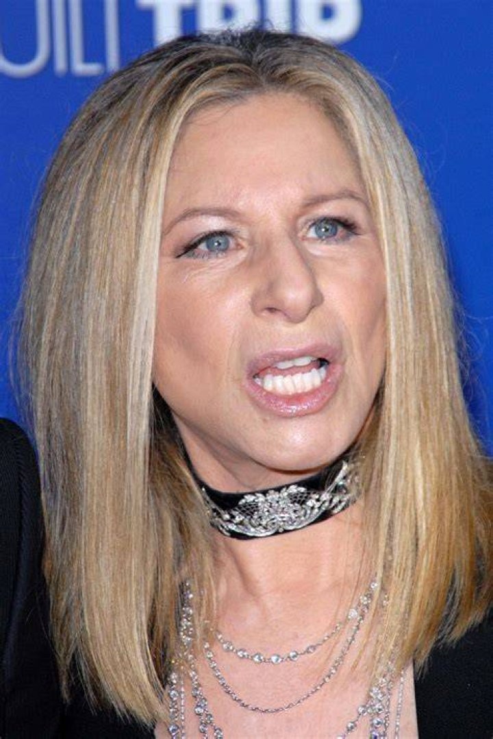 Barbra Streisand Barbra Streisand