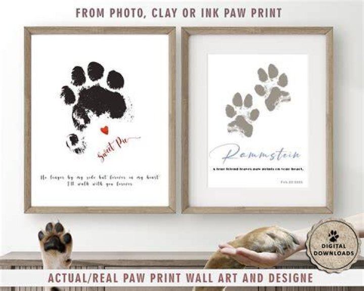 Because 4 Paws Custom Ink Fundraising