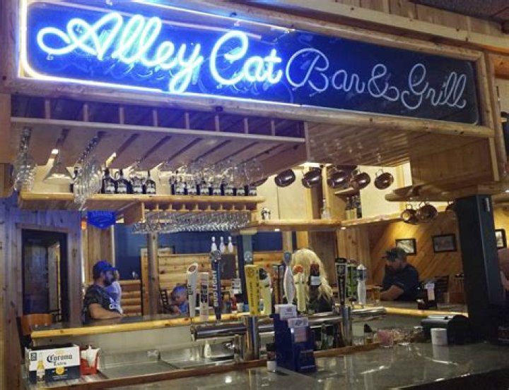 BUSINESS BUZZ Alley Cat Bar & Grill rolls three experiences into one