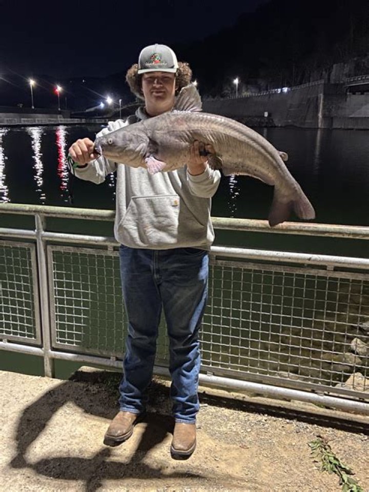 Catfishing in Mountain City, TN The Facebook Murders &mdash; Southern Fried