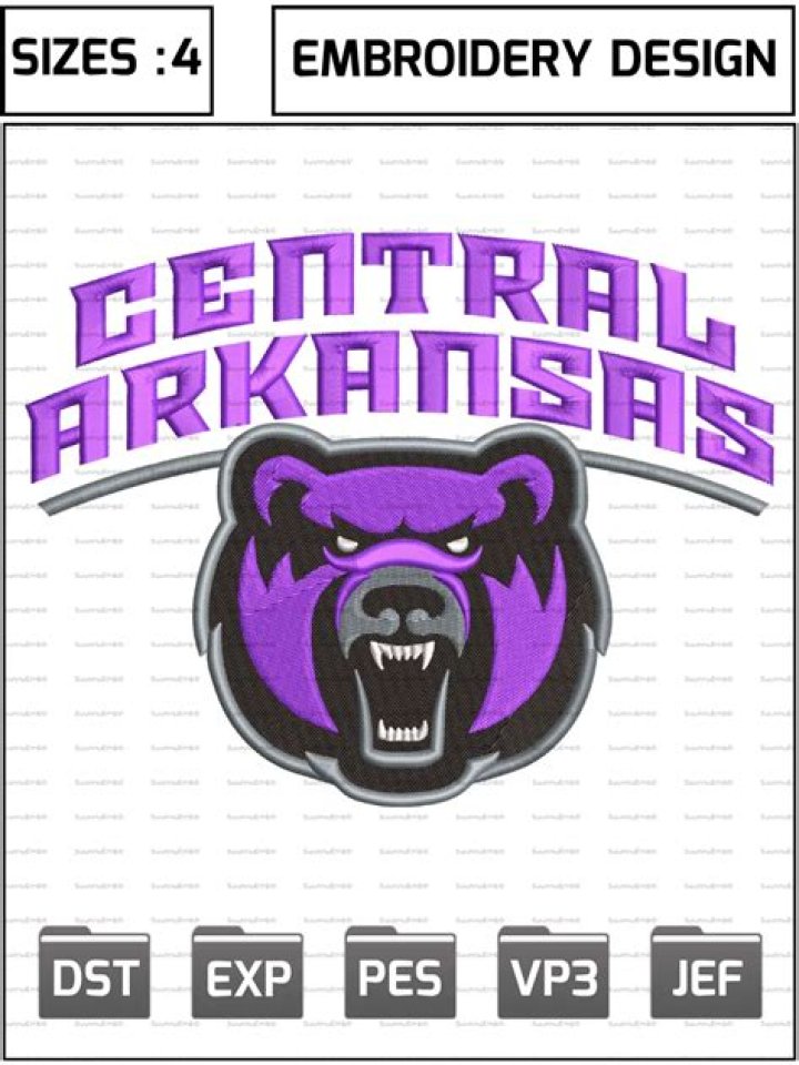 Central Arkansas Bears Secondary Logo NCAA Division I (ac) (NCAA ac