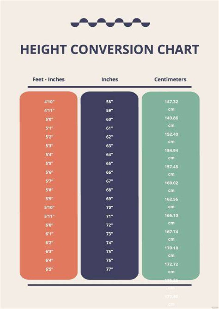 Check out this height Chart... who&rsquo;s lying 🤥? r/jerseyshore