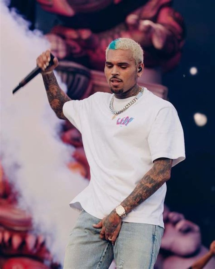 Chris Brown's mother Joyce and Karrueche Tran arrive at court... but