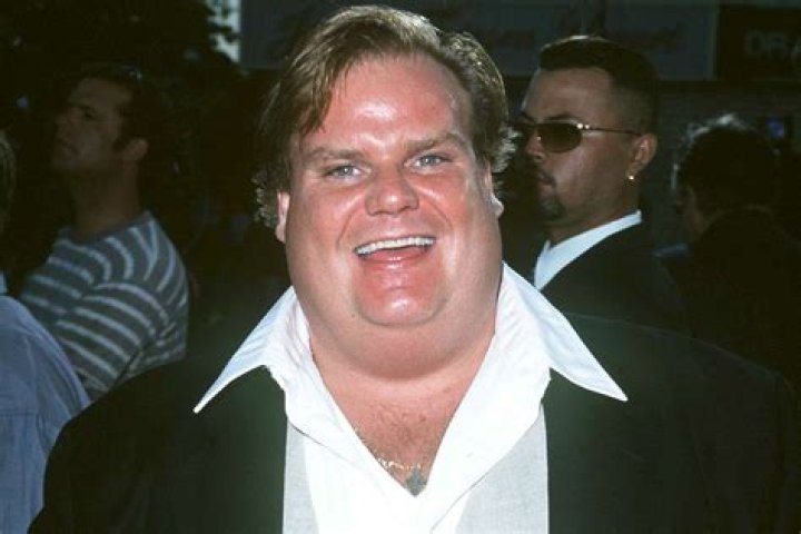 Chris Farley's Wife: A Testament To Love And Resilience