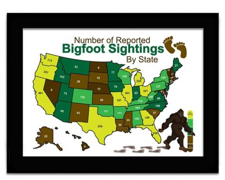 Clown Sightings List Which States Have Creepy Clowns?