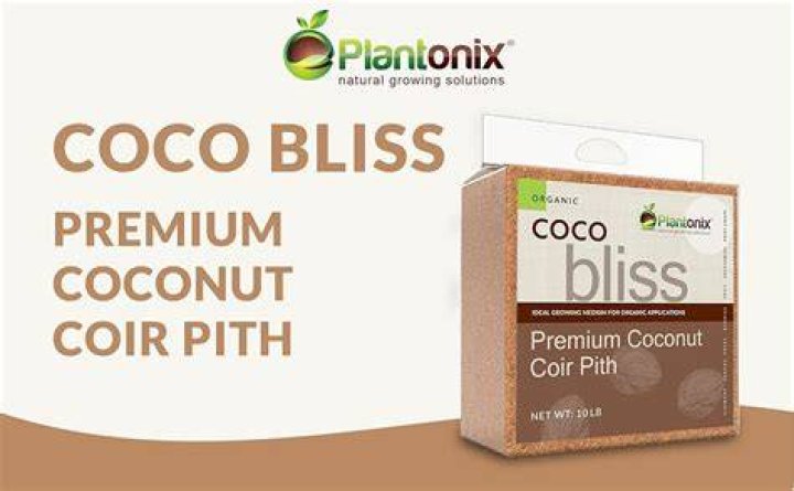 Coco Bliss leaked video, Coco Bliss onlyfans leaked video UsaViral