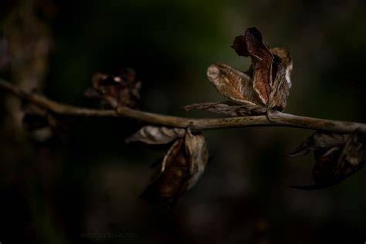 colors of autumn on Behance