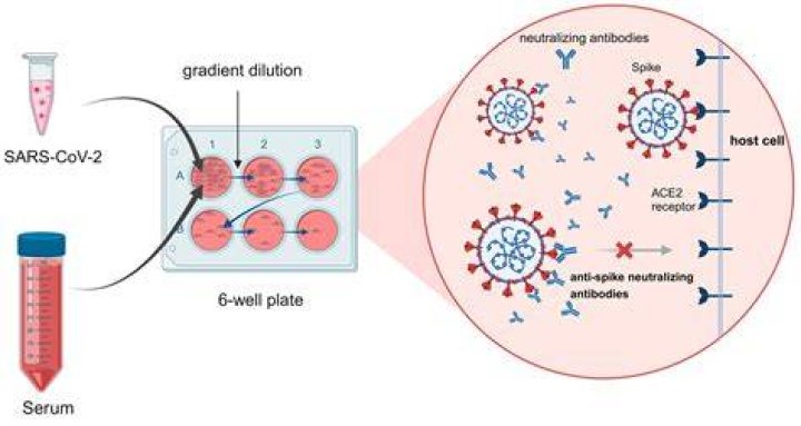 COVID19 My Antibodies Are Waning&mdash;Richard Quest Business Post Nigeria