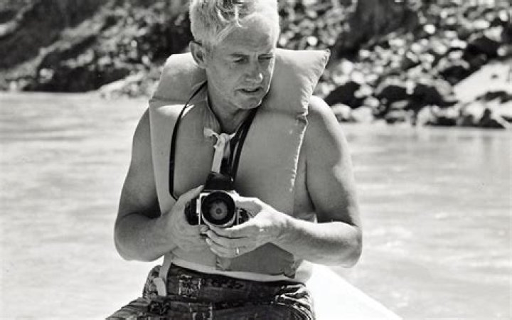 David Brower