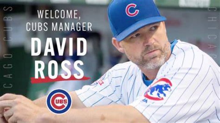 David Ross Chicago Cubs Manager Dating Torrey DeVitto of &lsquo;Chicago Med