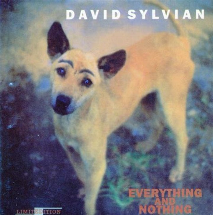 David Sylvian Everything and Nothing (2000) thetimeisdead