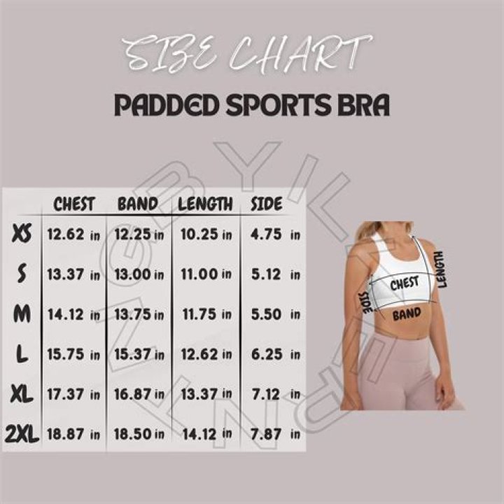 Denise Boutte Body Measurement, Bra Sizes, Height, Weight Celeb Body
