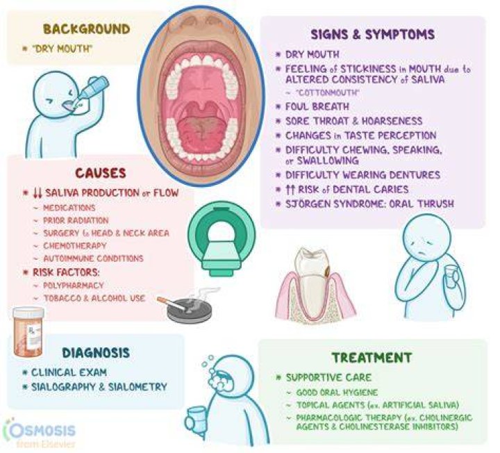 Difficulty Swallowing Conditions, Consultation & Treatment PGL