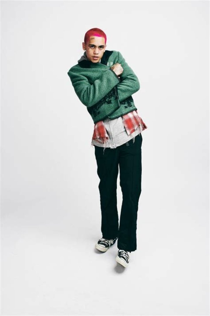 Dominic Fike interview The new album, fame and what's next