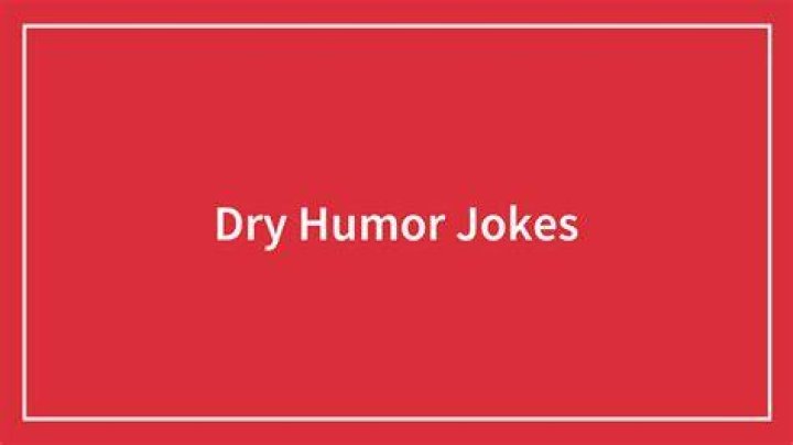 Dry Humor &mdash; All You Need to Know About It Linguaholic Blog