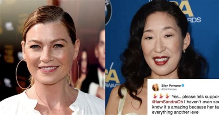 Ellen Pompeo Supports Sandra Oh's New Show On Twitter & Their 'Grey's Anatomy' Bond Lives On