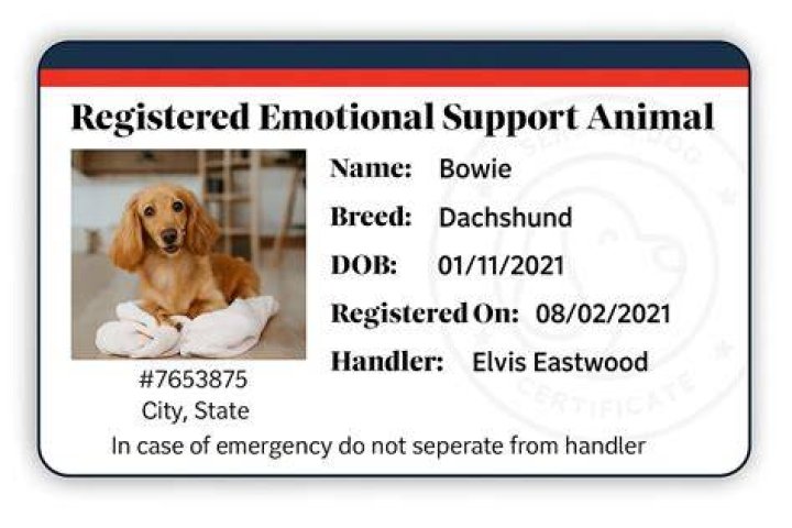 Emotional Support, Iktiar-2024