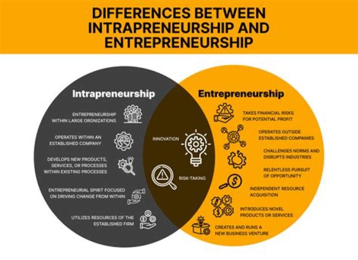 Entrepreneurship versus Intrapreneurship What&rsquo;s The Difference?