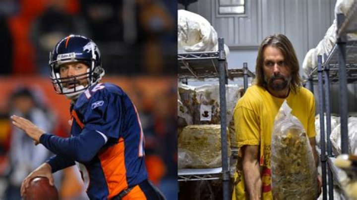 Former QB Jake Plummer's new position as &lsquo;Mushroom Man&rsquo; farmer