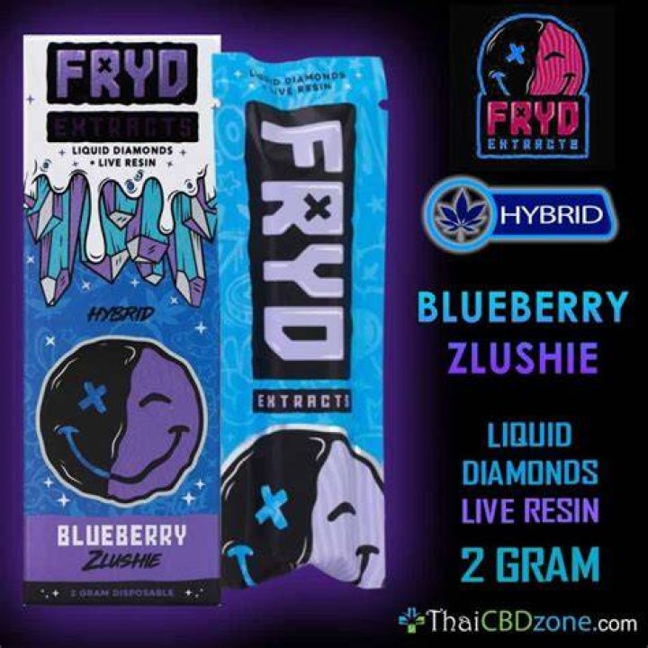 Fryd Extracts Blueberry Zlushie 2000MG