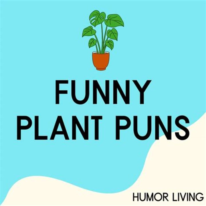 Funny Pun Plant Humor Punny Puns, Cute Puns, Cute Jokes, Funny Jokes