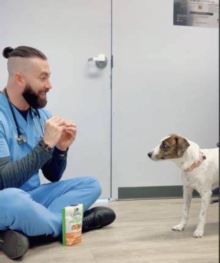 GoLocalProv VIDEO RI Veterinarian With Over 3 Million TikTok