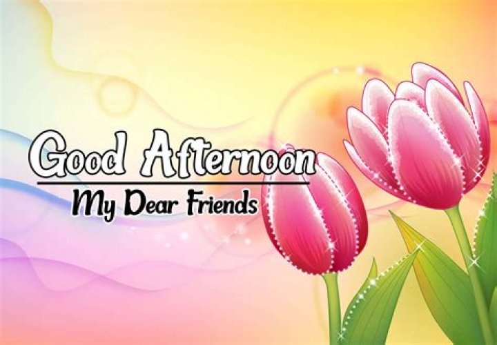 Good Afternoon Pictures, Images, Graphics Page 16