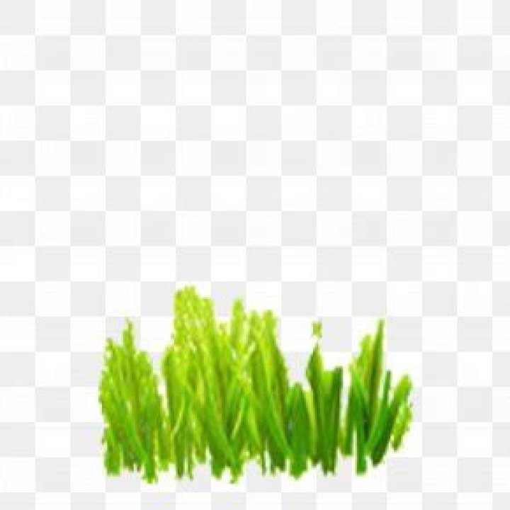 Green Animation, PNG, 628x1492px, Green, Animation Download Free