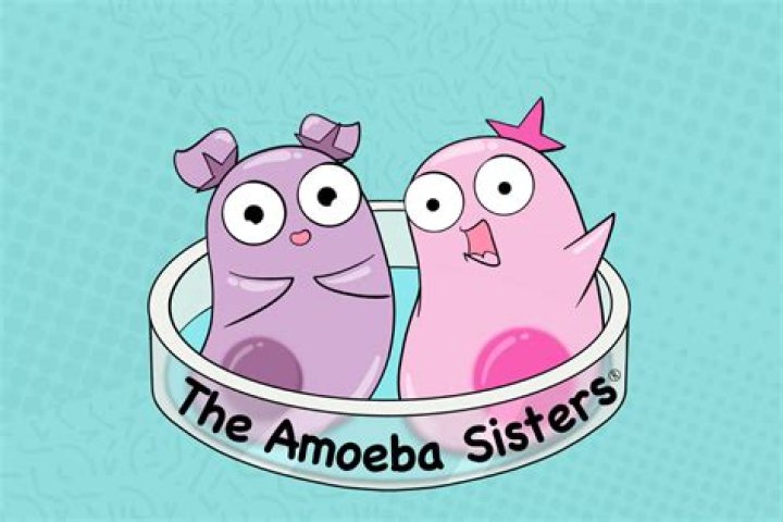 Has Amoeba Sisters Done A Face Reveal?