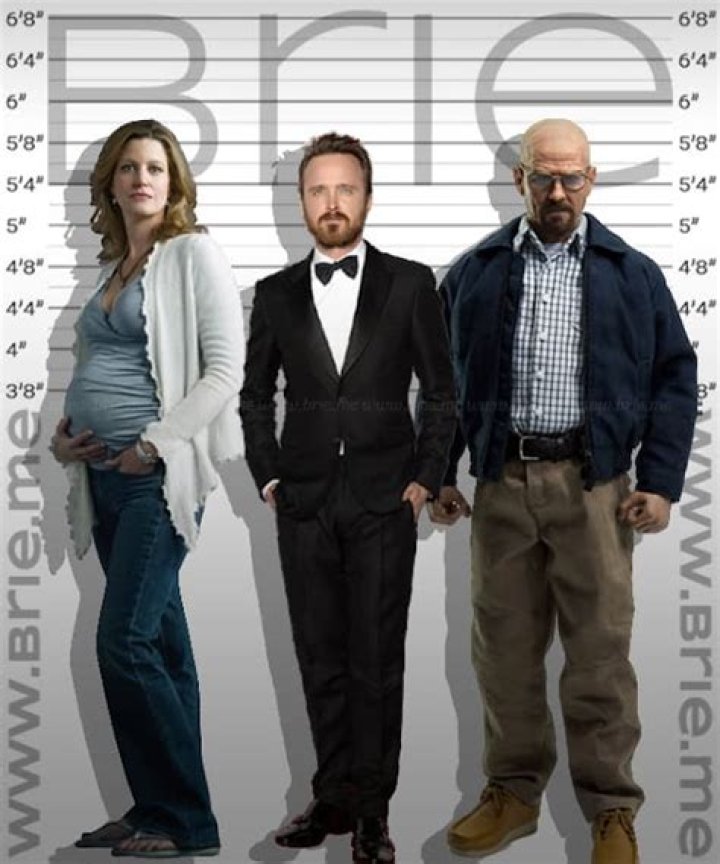 Height of Aaron Paul