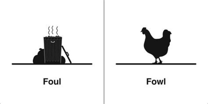 Homophones, Weakly Foul & Fowl