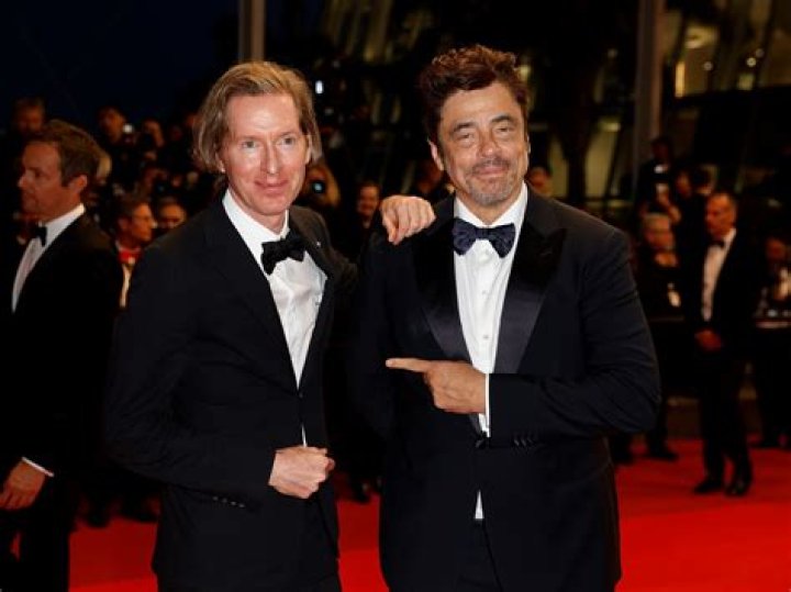 How are Benicio and Guillermo Del Toro related?