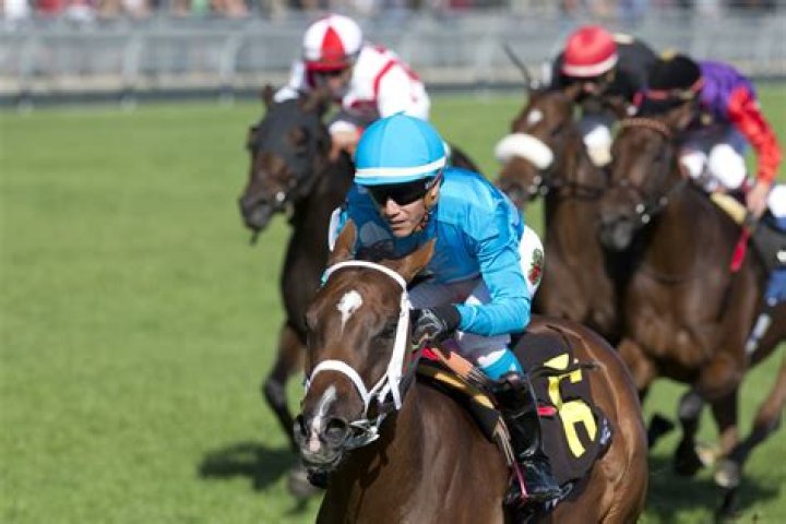 How did Jockey Alex Canchari Die ? Cause of Death Revealed