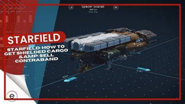 How to get Shielded Cargo in Starfield Rock Paper Shotgun