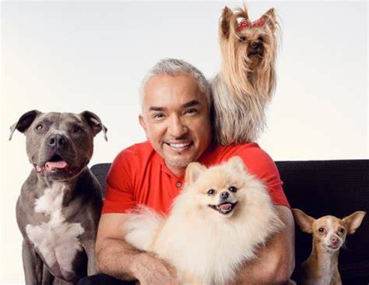 Image of Cesar Millan with his ex-wife Ilusion Millan