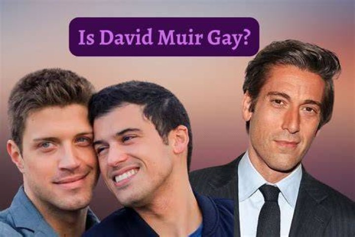 Is David Muir Gay? Who's David Muir's Partner?