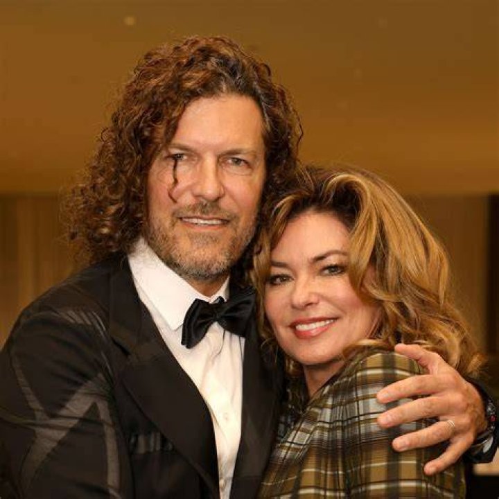 Is Shania Twain the sun on the masked singer?