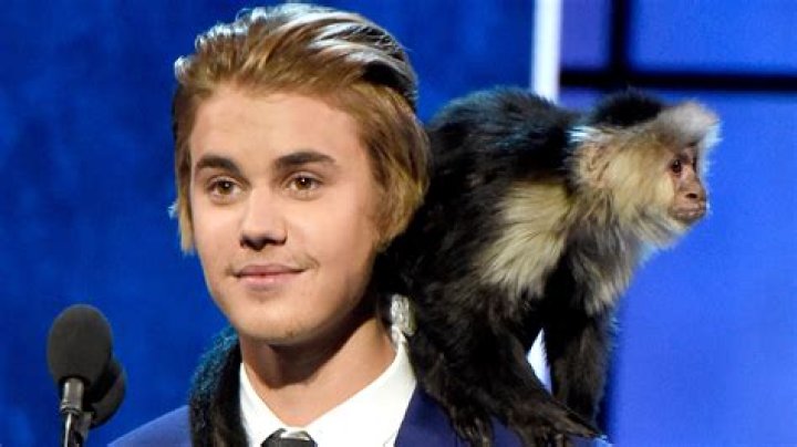 Jack Wolfe Pets Celebrity Pets