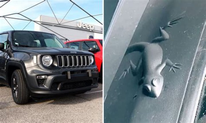 Jeep Wrangler Hidden Animals animalqf