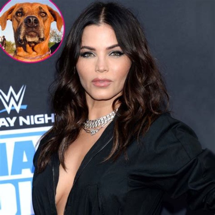 Jenna Dewan, Steve Kazee Mourn 'Sudden' Death of Dog Violet Mae